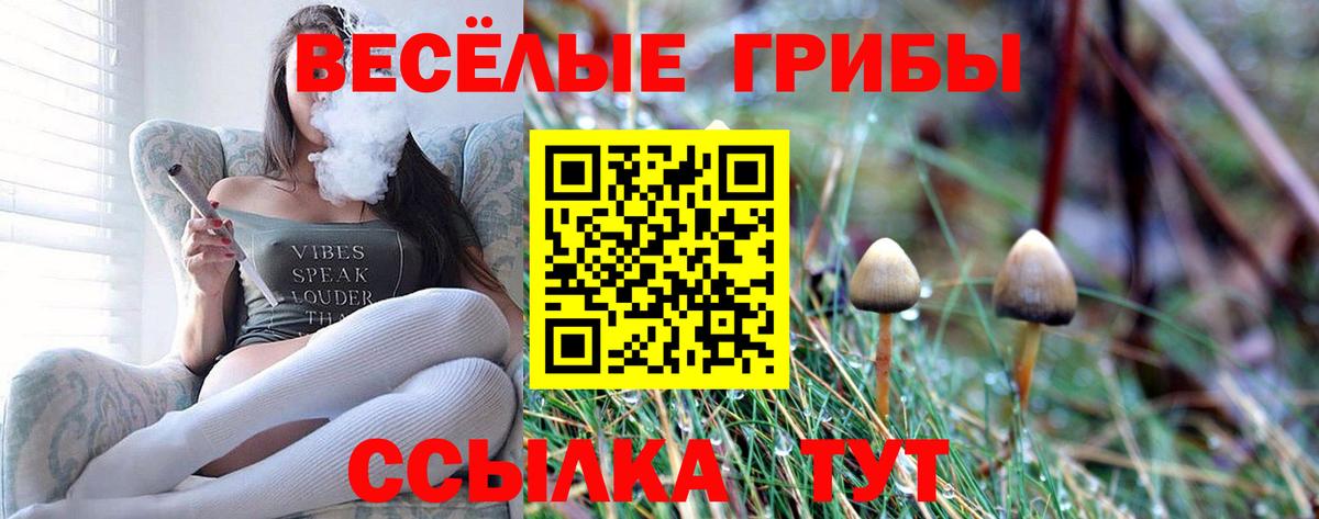 купить закладку  Вход с VPN  Джанкой  Галлюциногенные грибы Magic Shrooms 
